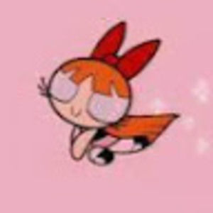 Meet your Posher, Clara